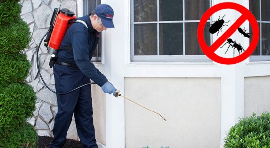 Sincik Karınca İlaçlama böcek ilaçlama ve haşere kontrolü — ilaclama-tr.com